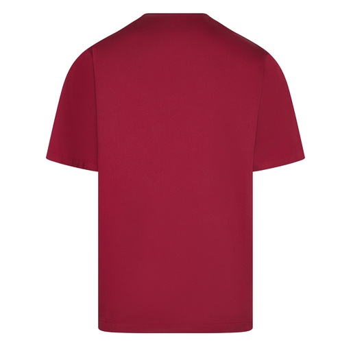 Tunique médicale unisexe col v couleurs – Gary's 603000