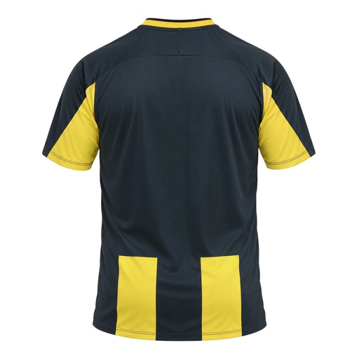 Maillot Evolve 2.0 Stripe homme – Craft C18660