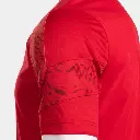 Manche rouge.webp