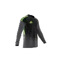 gardien 2.webp