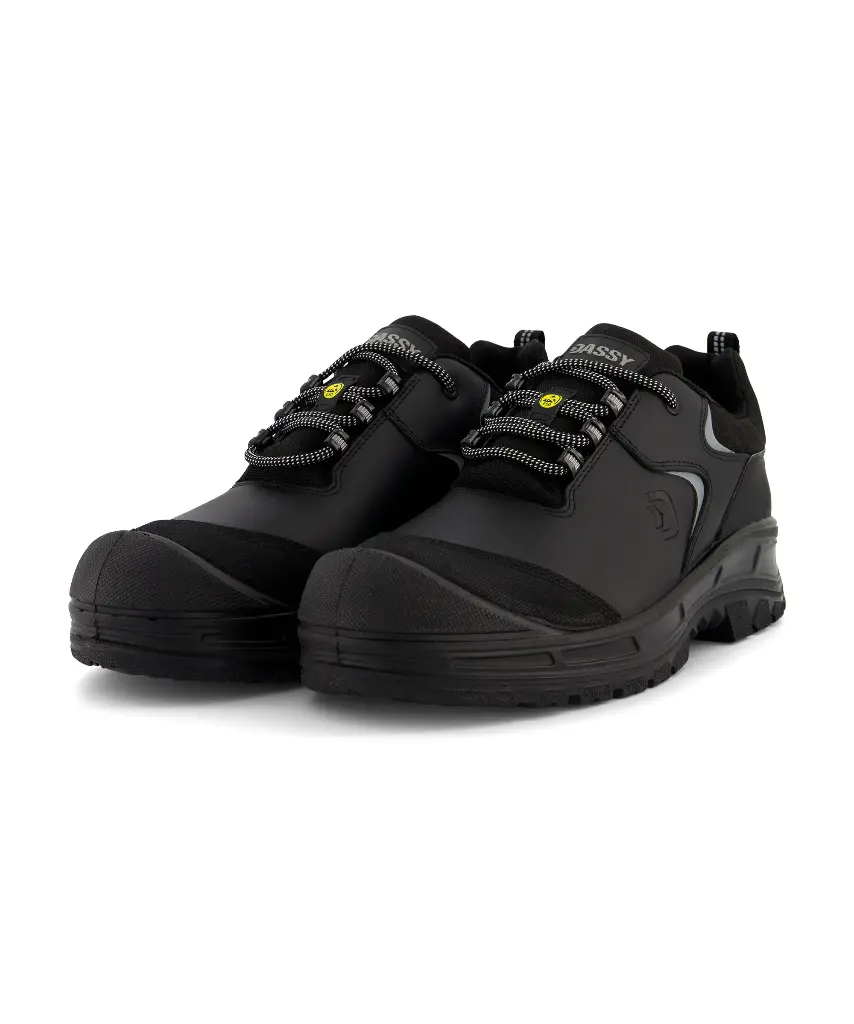 Chaussure Anubis S3S - 25597