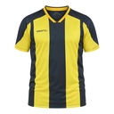 Maillot Evolve 2.0 Stripe homme – Craft C18660