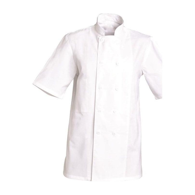 Veste de cuisine mixte manches courtes à pressions Michel coton – SNV MICCB002
