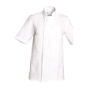 Veste de cuisine mixte manches courtes à pressions Michel coton – SNV MICCB002