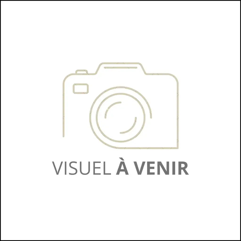 Cravate NDL élastique  