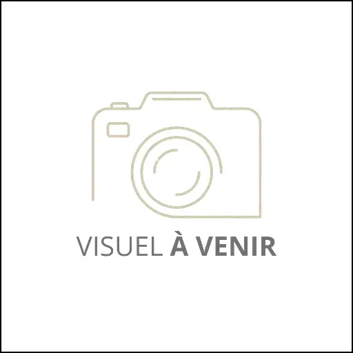 Cravate NDL élastique  